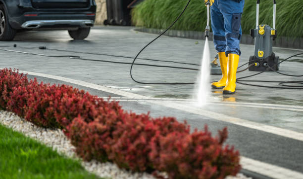 Best Driveway Pressure Washing  in Mount Juliet, TN